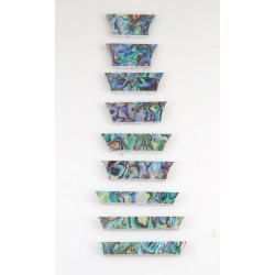 Abalone 9pcs/set(Les Paul Style)